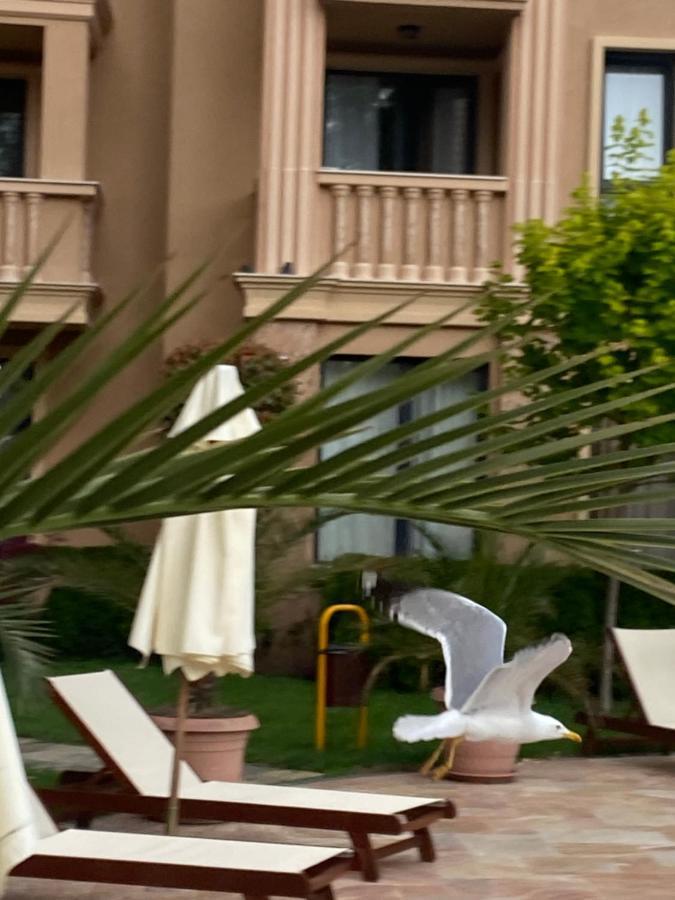 Aphrodite Gardens D208, Studio Apartment Sunny Beach Exterior photo
